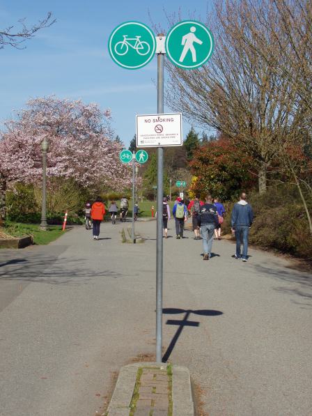 Pathway, Vancouver Gene Chin