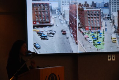 Dr. Karen Lee & Public Plazas